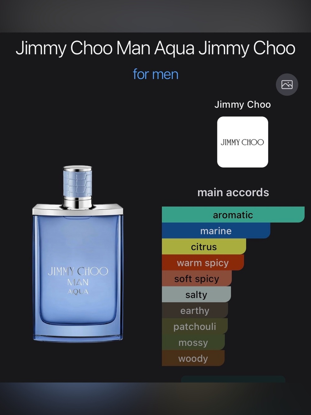 NWT Jimmy Choo Aqua Man